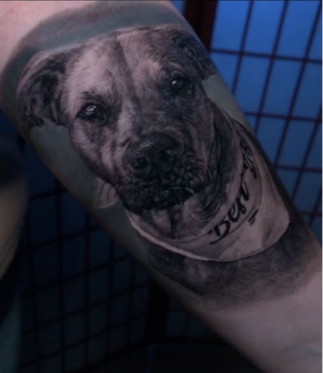 Realism Pet Portrait age, tattoo, portrait, healed tattoo, cesar perez
